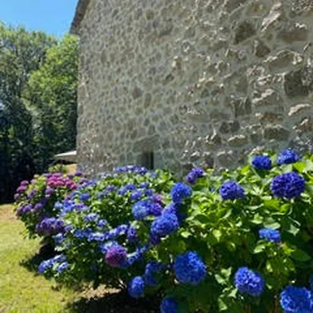 La Maioun, Entouree De La Foret Au Calme 펜션