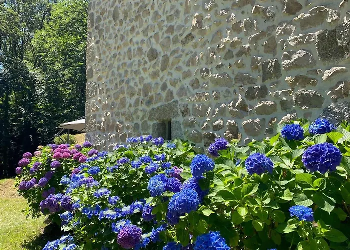 La Maioun, Entouree De La Foret Au Calme בית נופש *